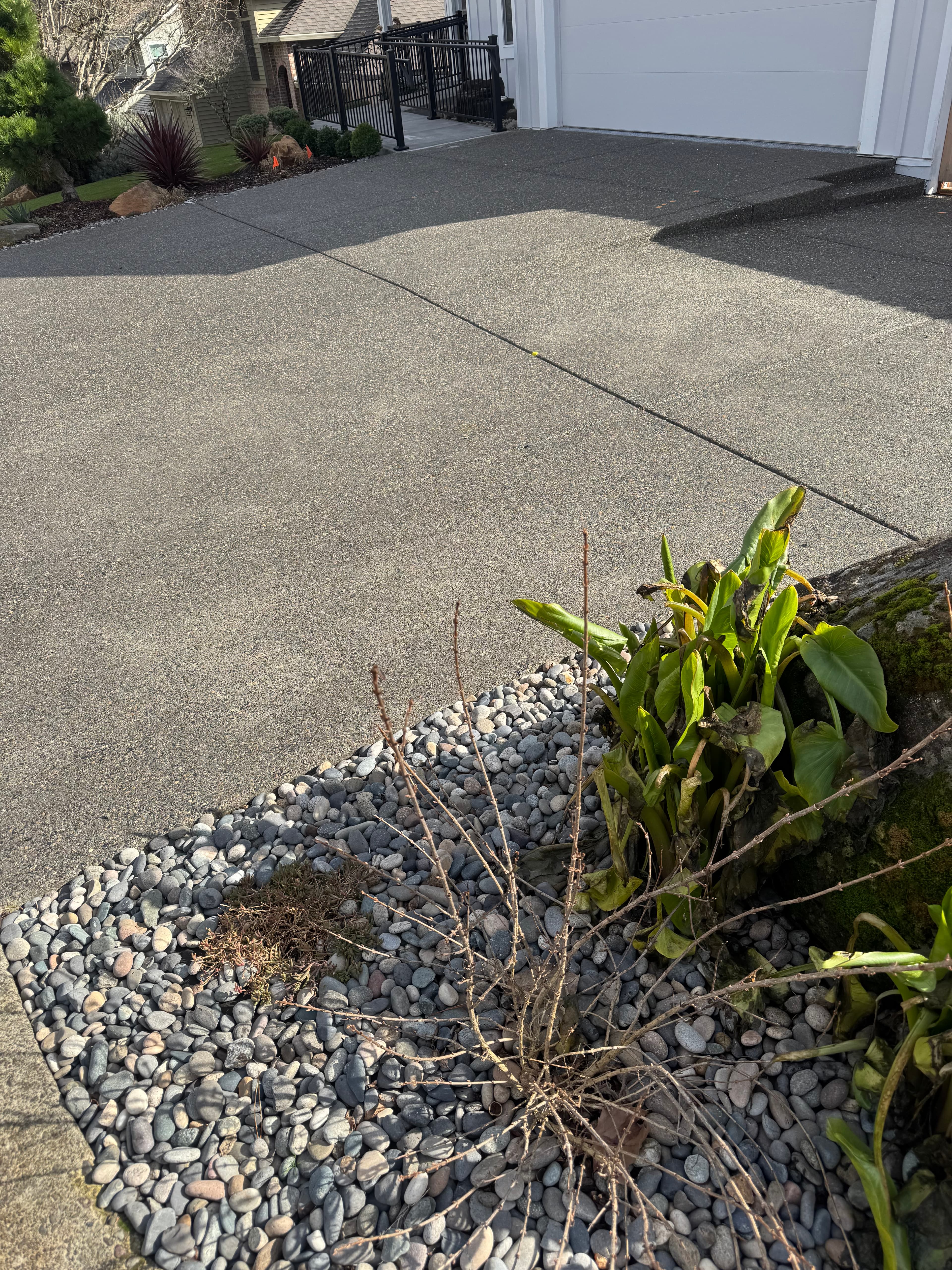 Clean residential driveway after pressure washing.